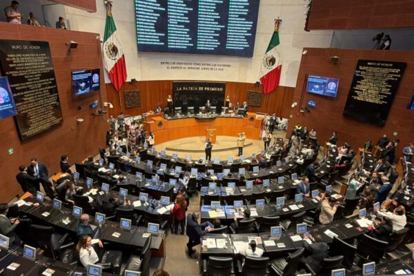Rechazan Partido Verde y PT a Andrea Chávez; respaldan a Cruz Pérez Cuéllar para la candidatura en Chihuahua