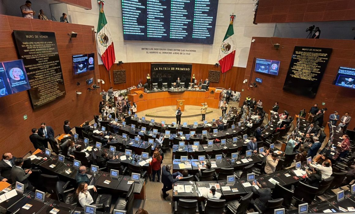 Rechazan Partido Verde y PT a Andrea Chávez; respaldan a Cruz Pérez Cuéllar para la candidatura en Chihuahua
