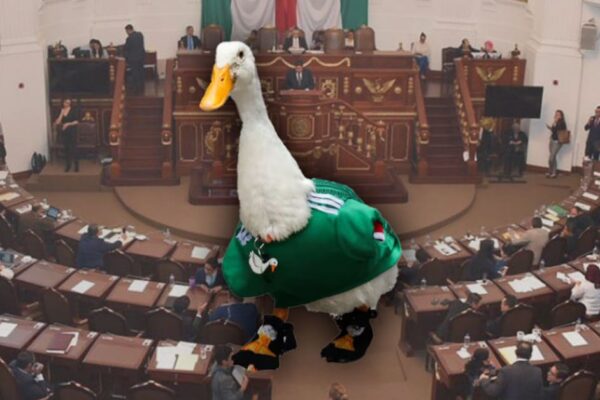 Presenta MC la ‘Ley Merlín’ para destinar ganancias de animales famosos a su bienestar