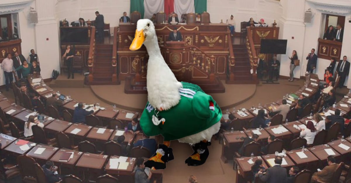 Presenta MC la ‘Ley Merlín’ para destinar ganancias de animales famosos a su bienestar