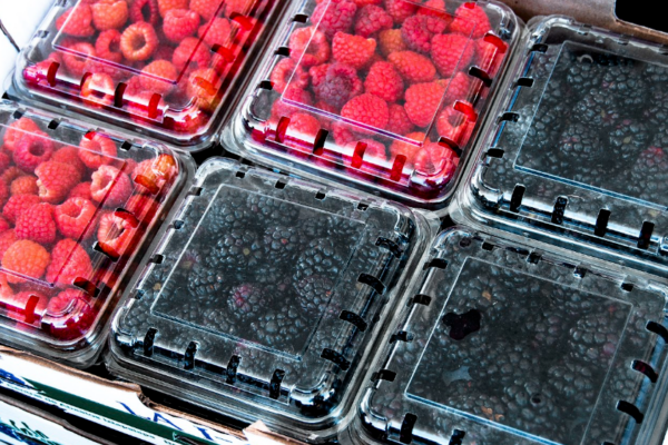 Exportaciones agroalimentarias de México al Reino Unido crecen 15% entre 2024 y 2025