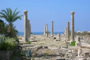 UNESCO incluye seis sitios en la Lista del Patrimonio Mundial en Peligro