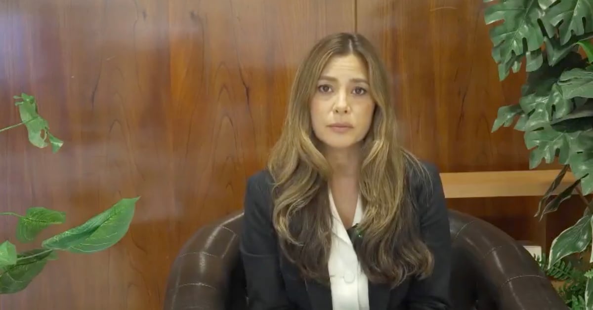 Detienen a Ernesto Ruffo por huachicol fiscal; su hija lo llama ‘preso político’