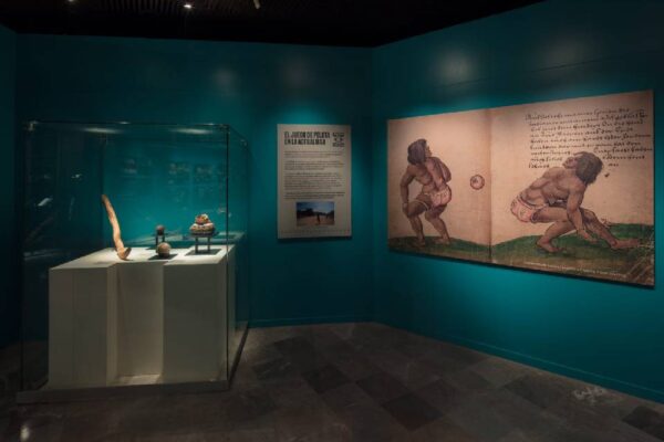 Inaugura el INAH exposición sobre el juego de pelota en Tenochtitlan en el Museo del Templo Mayor