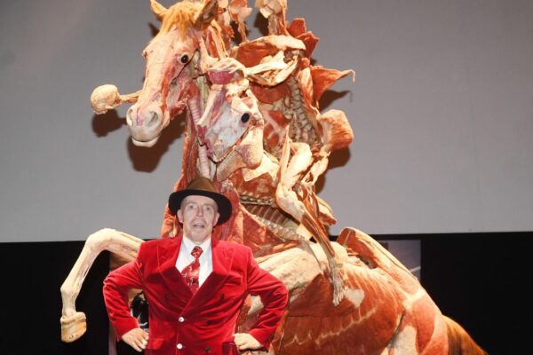 Fallece Gunther von Hagens, inventor de la plastinación y creador de Body Worlds