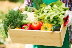 Revisiones anuales del T-MEC generan incertidumbre en el sector agroalimentario ante presión por estacionalidad