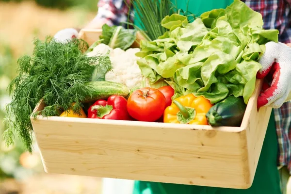 Revisiones anuales del T-MEC generan incertidumbre en el sector agroalimentario ante presión por estacionalidad