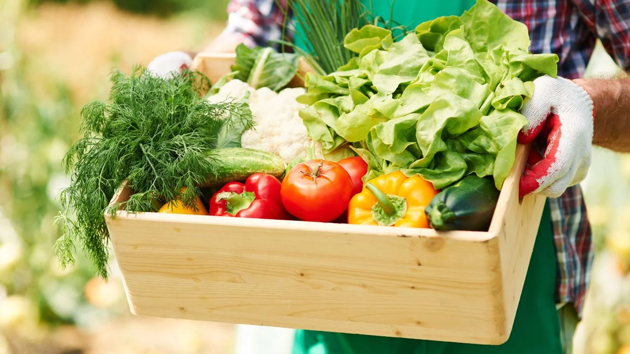Revisiones anuales del T-MEC generan incertidumbre en el sector agroalimentario ante presión por estacionalidad