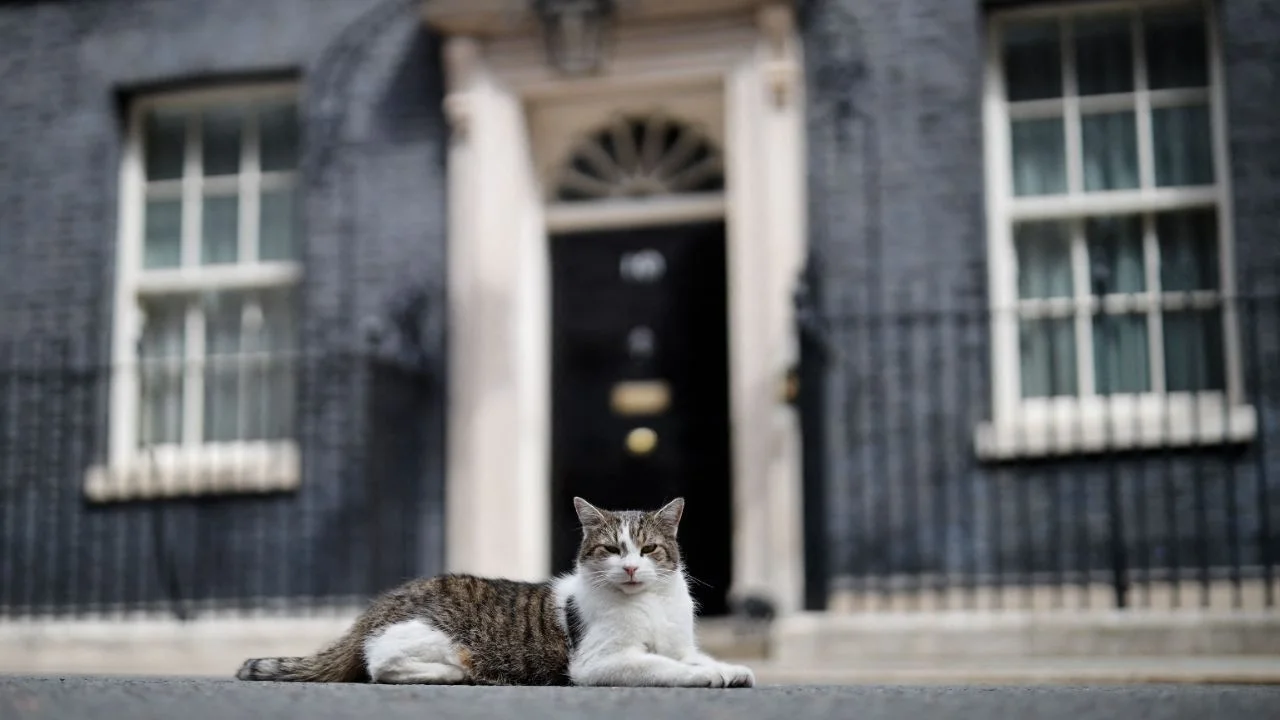 Larry, el gato de Downing Street, recibe a su séptimo primer ministro británico