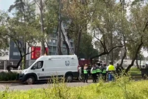 Hallan cuerpo de hombre colgado de un árbol en camellón de Insurgentes Norte