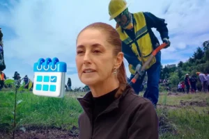 Sheinbaum decreta que la Jornada de Reforestación sea cada segundo domingo de agosto