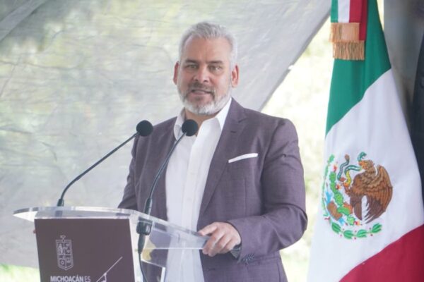 Aguacate detenido por suspensión del USDA se exportará al mantenerse en cadena de frío