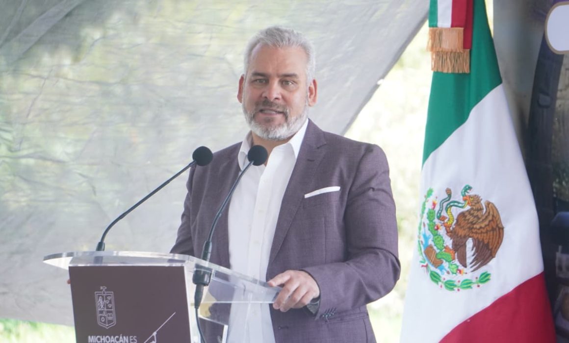 Aguacate detenido por suspensión del USDA se exportará al mantenerse en cadena de frío