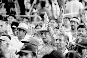 Sheinbaum acuerda mesa con sección 22 de Oaxaca pero descarta diálogo con CNTE