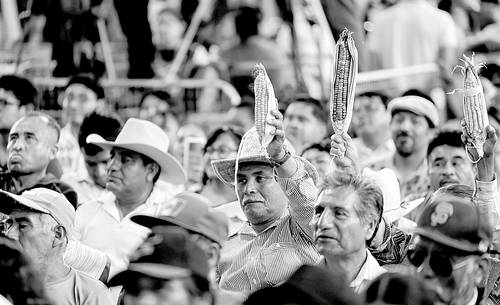 Sheinbaum acuerda mesa con sección 22 de Oaxaca pero descarta diálogo con CNTE