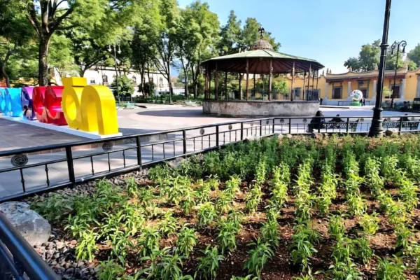 Jardín Hidalgo de Coyoacán atrae mariposas y aves tras convertirse en espacio polinizador