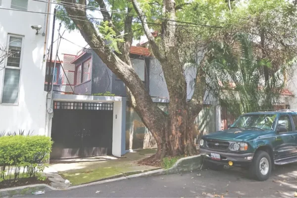 Despojo de inmuebles en CDMX genera ganancias equiparables al narcomenudeo: Notario