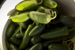 CDC investigan brote de salmonela en EE.UU. vinculado a jalapeños de Sinaloa