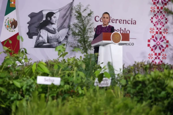 Anuncia Sheinbaum Jornada Nacional de Reforestación con meta de 6.6 millones de plantas