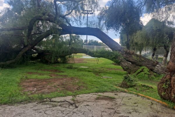 Daños en Zacatenco exhiben la crisis de mantenimiento que enfrenta el IPN